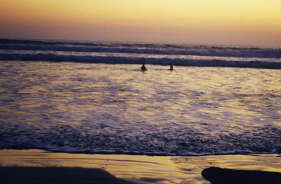[photo]