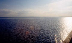[photo]