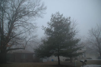 [photo]