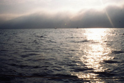 [photo]