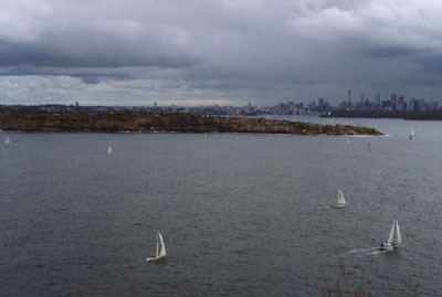 [photo]
