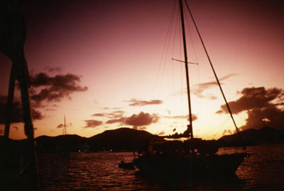 [photo]